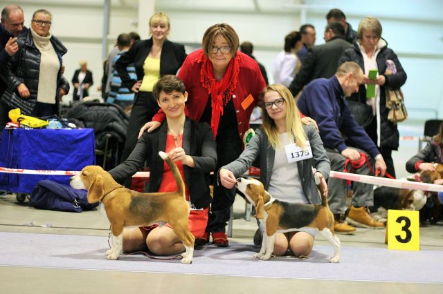 lublin - best puppy 1